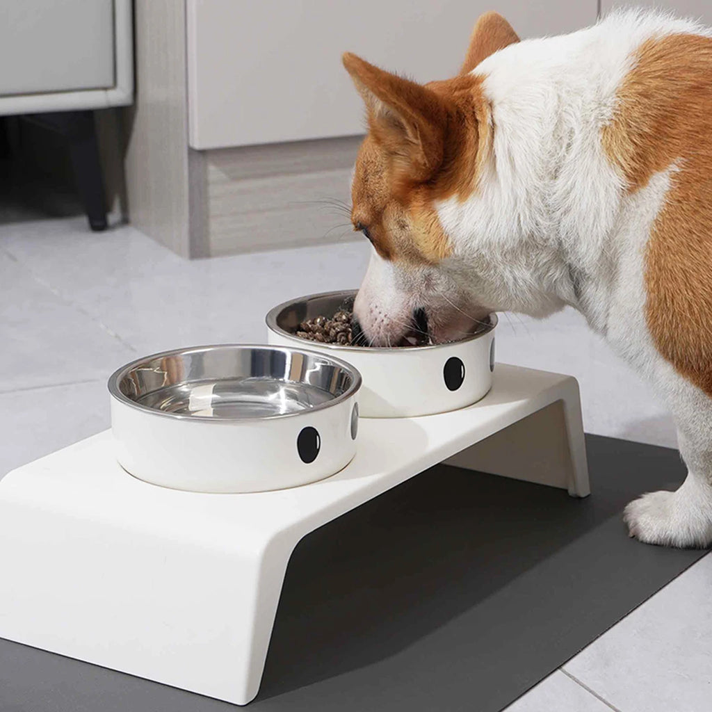 Elevated Pet Feeder - Raised Stand with Double Stainless Steel Food & Water Bowls for Dogs & Cats